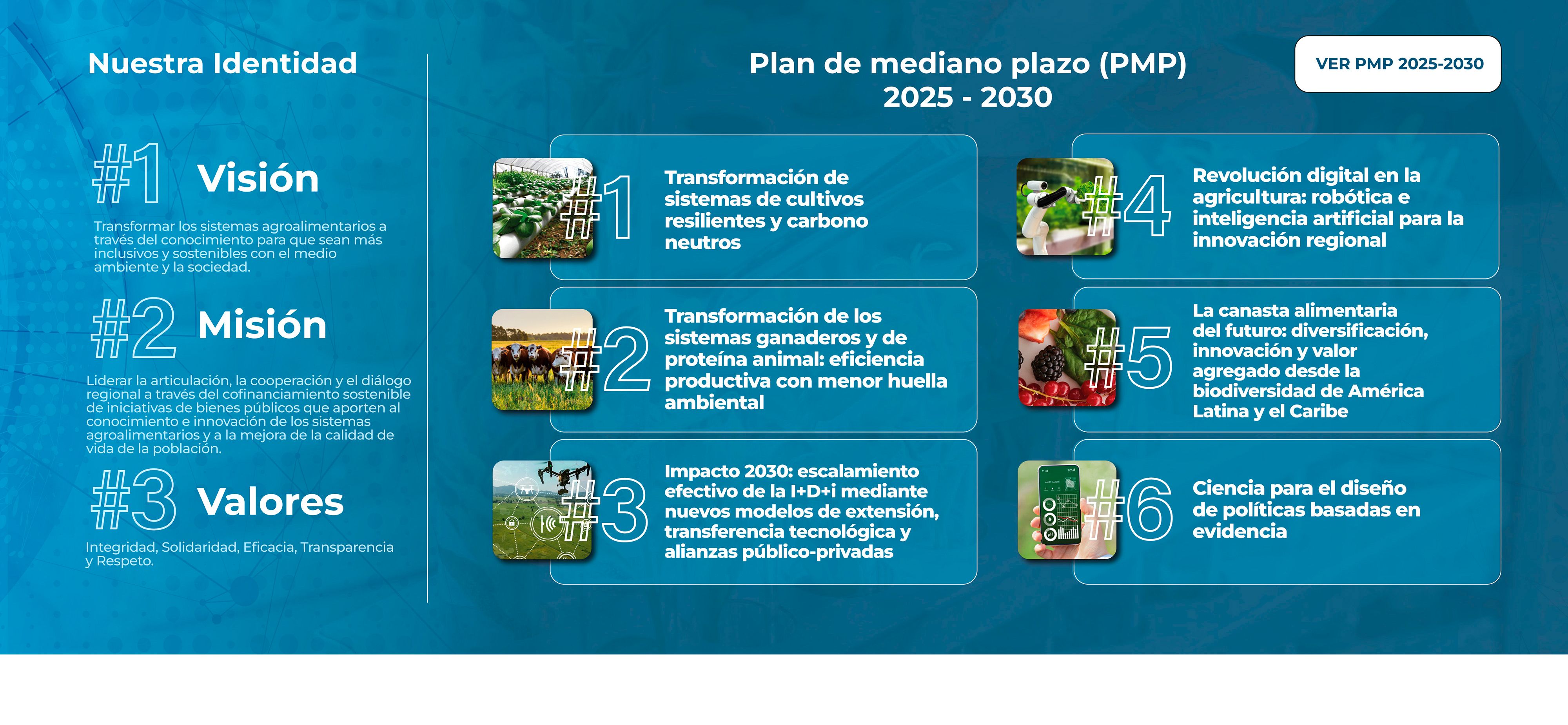 Presentation slide 3