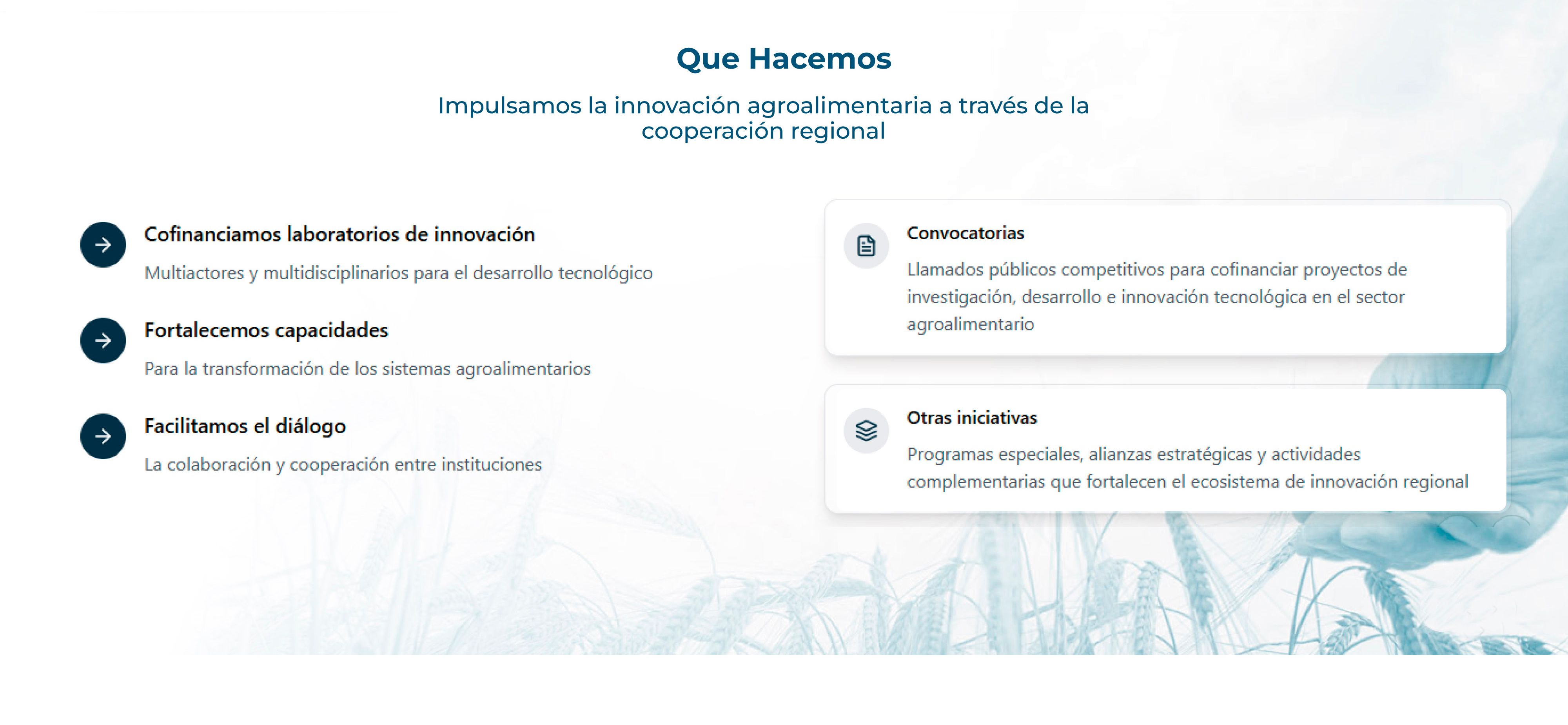 Presentation slide 5