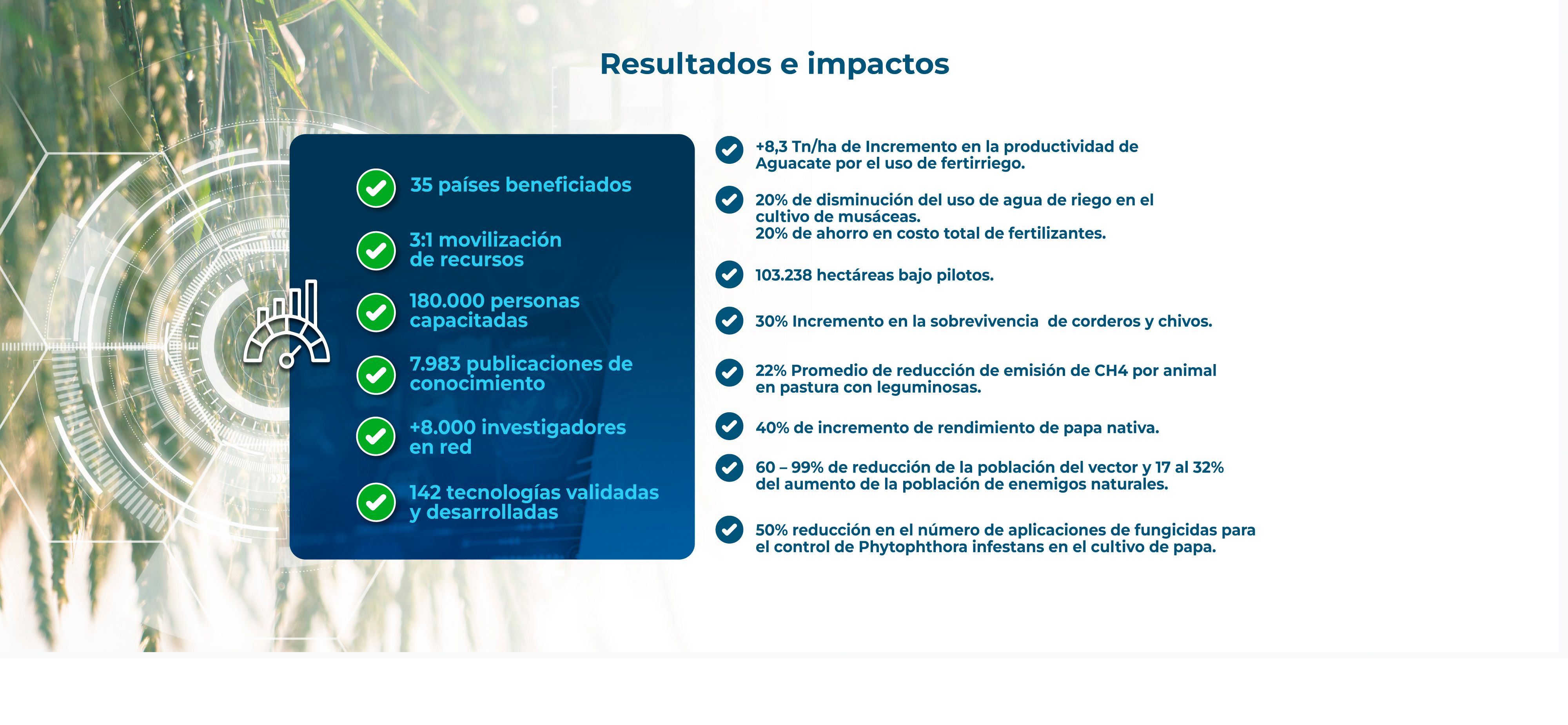 Presentation slide 8