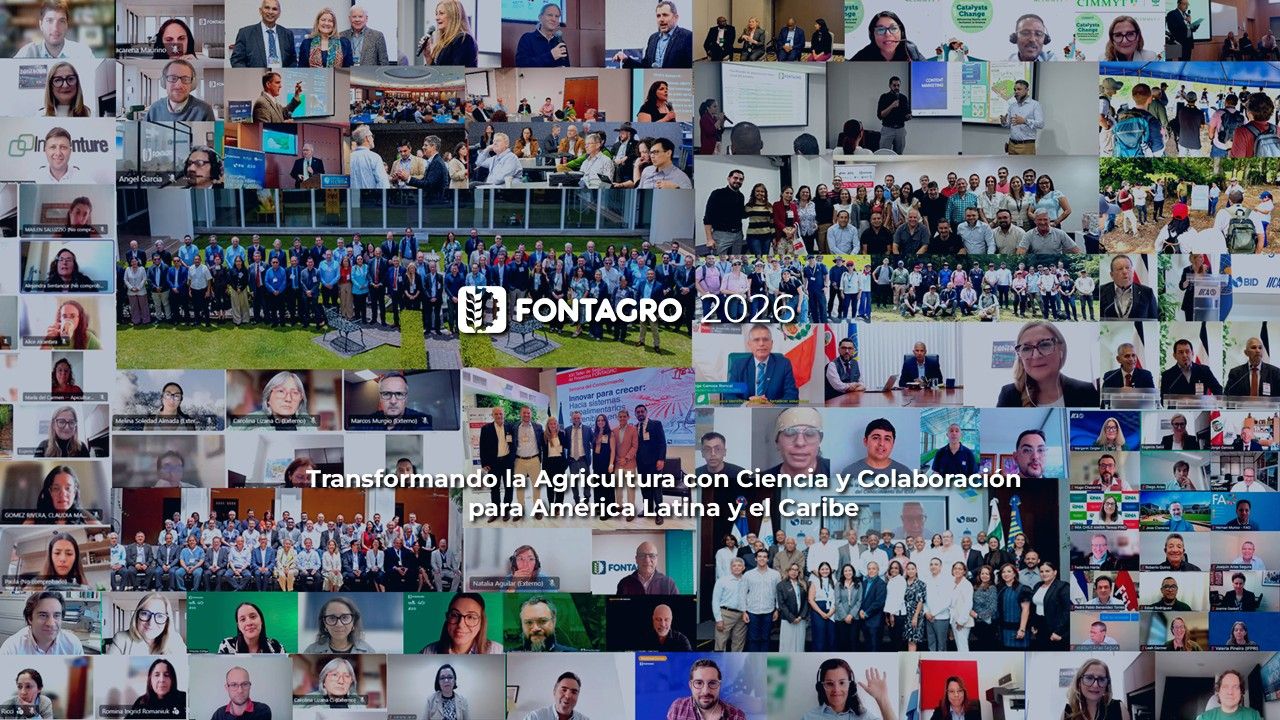 Collage de fotos de encuentros, talleres y equipos de FONTAGRO durante 2026, con el lema: Transformando la Agricultura con Ciencia y Colaboración para América Latina y el Caribe